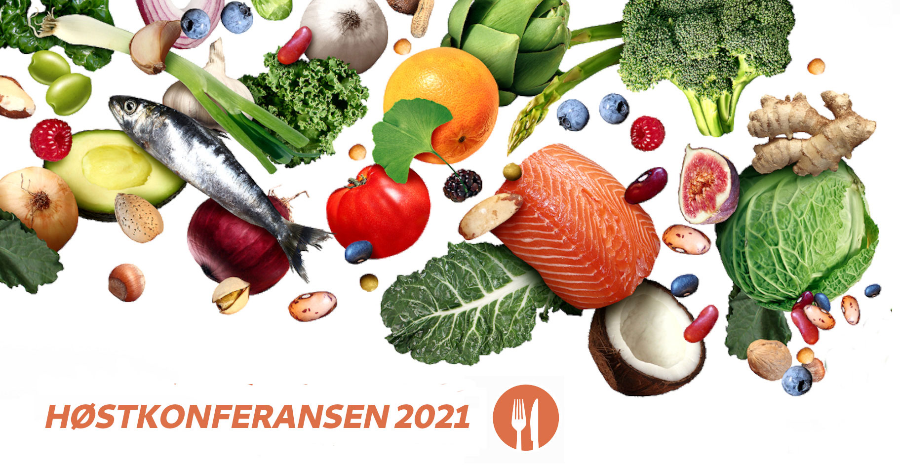 Høstkonferansen 2021 - i Lillestrøm